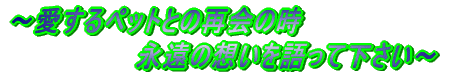 ～愛するペットとの再会の時 　　　　　　　永遠の想いを語って下さい～ 
