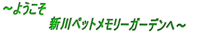 ～ようこそ 　　　新川ペットメモリーガーデンへ～ 